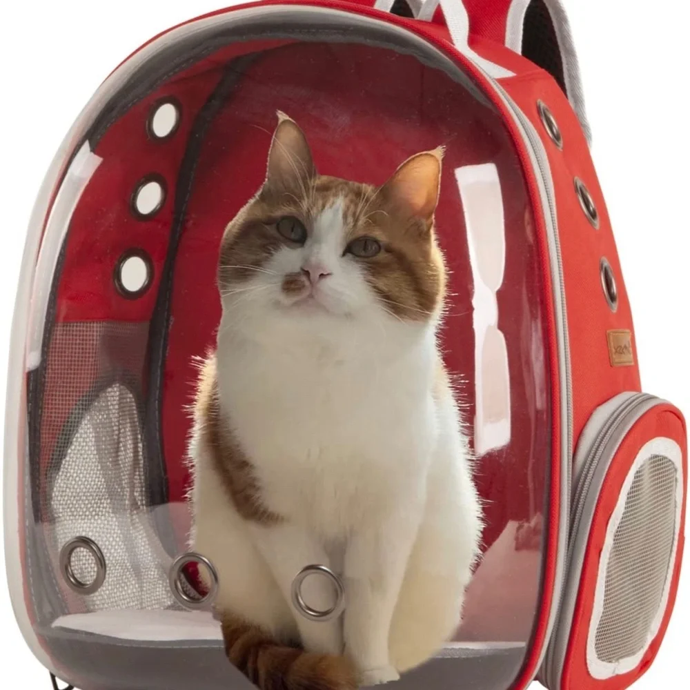 Small pet carrier backpack